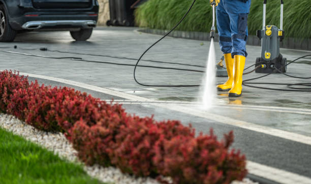 Best Pressure Washing Services Near Me  in Gautier, MS