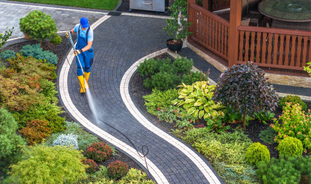 Best Roof Power Washing Services  in Gautier, MS